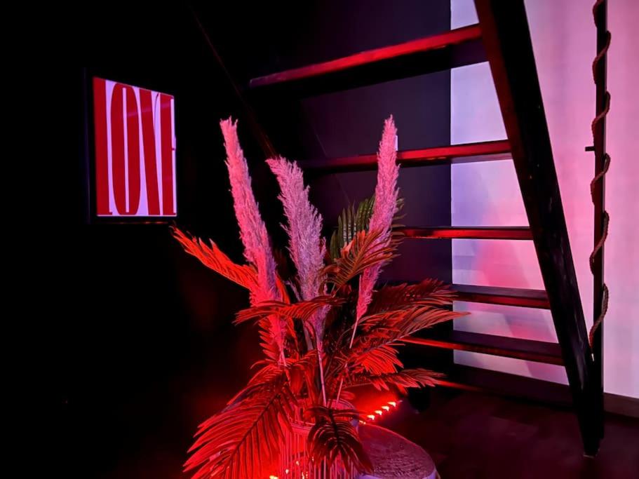 Red love-room / Balnéo & plus ! - Souppes-sur-Loing5 de Red love-room / Balnéo & plus !
