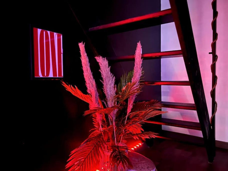 Red love-room / Balnéo & plus ! - Souppes-sur-Loing4 de Red love-room / Balnéo & plus !
