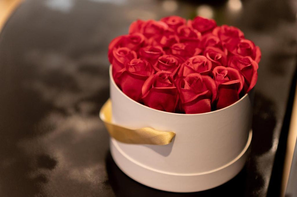 LA PERLE NOIRE - Agde11 de LA PERLE NOIRE
