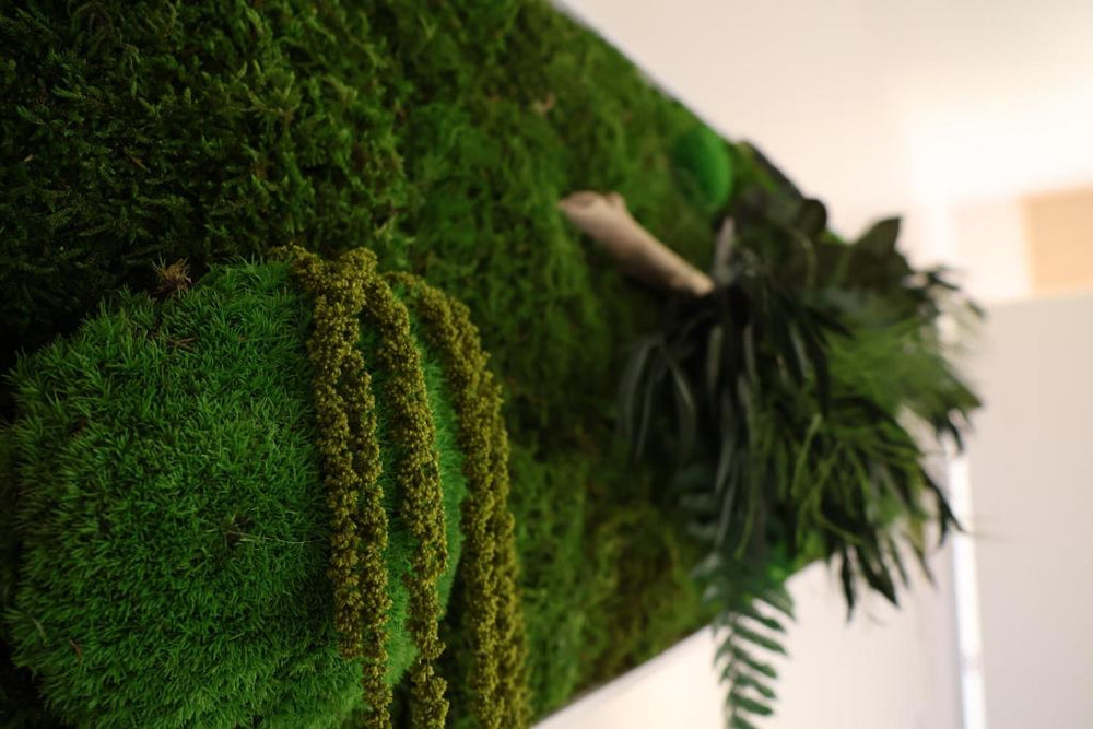 Les gîtes coquins - Amilly21 de Les gîtes coquins
