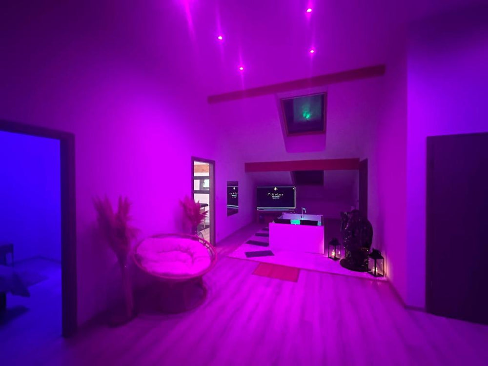 Le Rêve d’une Nuit (suite CHARNELLE) - Réding16 de Le Rêve d’une Nuit (suite CHARNELLE)
