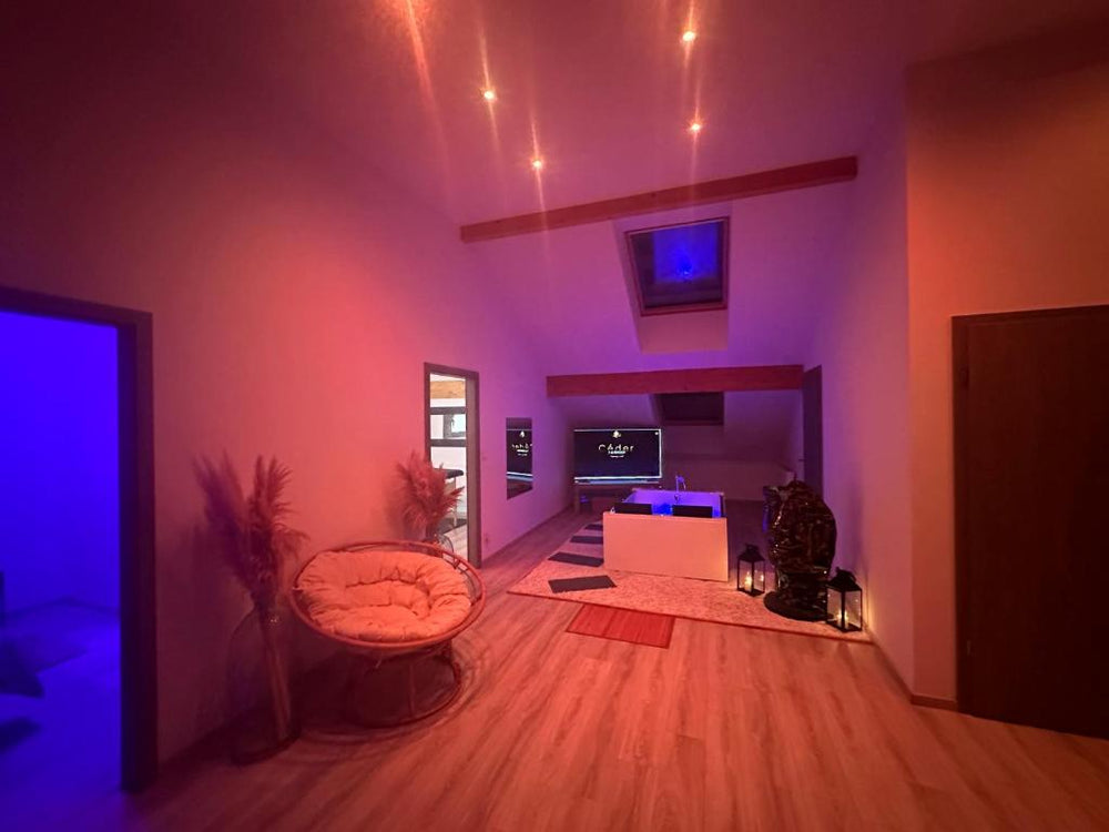 Le Rêve d’une Nuit (suite CHARNELLE) - Réding15 de Le Rêve d’une Nuit (suite CHARNELLE)
