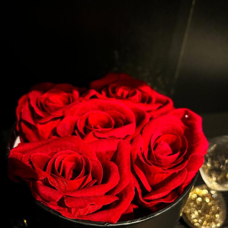 BlackRoom Suite de Luxe 50 Nuances de grey - Le Havre28 de BlackRoom Suite de Luxe 50 Nuances de grey
