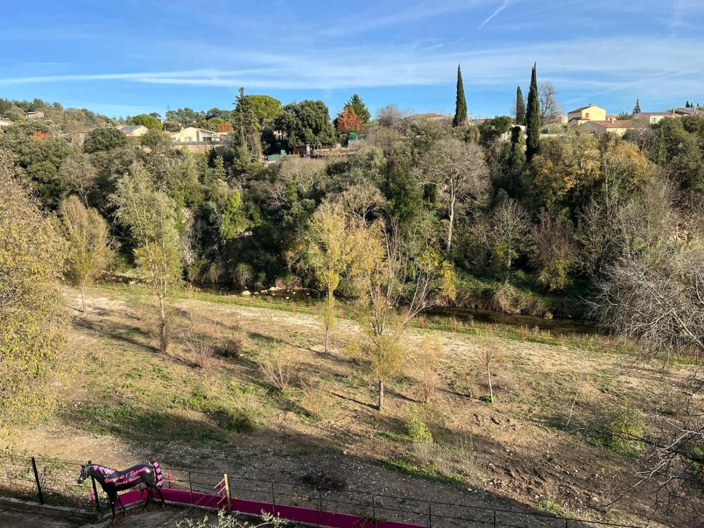 Love Room du Moulin Rose - Trans-en-Provence