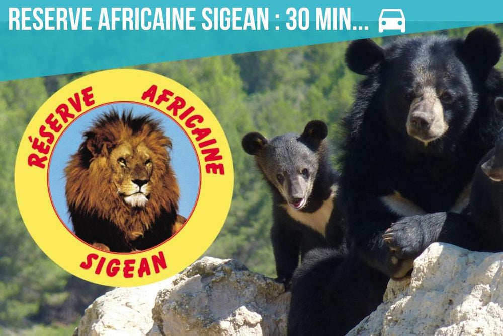 Le Lovely Gruissanais - Balneo & Sauna - Gruissan20 de Le Lovely Gruissanais - Balneo & Sauna
