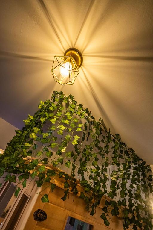 Le Lovely Gruissanais - Balneo & Sauna - Gruissan11 de Le Lovely Gruissanais - Balneo & Sauna
