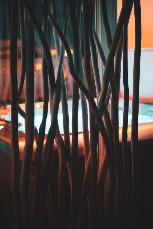 Le LOFT, MoonLOVE, Jacuzzi et sauna privatifs sur terrasse, 120m2 - Jarville-la-Malgrange16 de Le LOFT, MoonLOVE, Jacuzzi et sauna privatifs sur terrasse, 120m2
