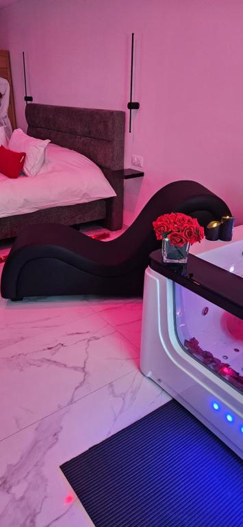 Loft Détente & Spa du Tram - Ronchamp16 de Loft Détente & Spa du Tram
