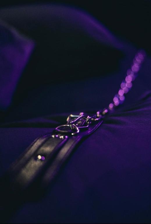 Erwachsenenhotel BDSM Apartment Hotel Emotion Apartments mit privater Sauna - Vlotho11 de Erwachsenenhotel BDSM Apartment Hotel Emotion Apartments mit privater Sauna
