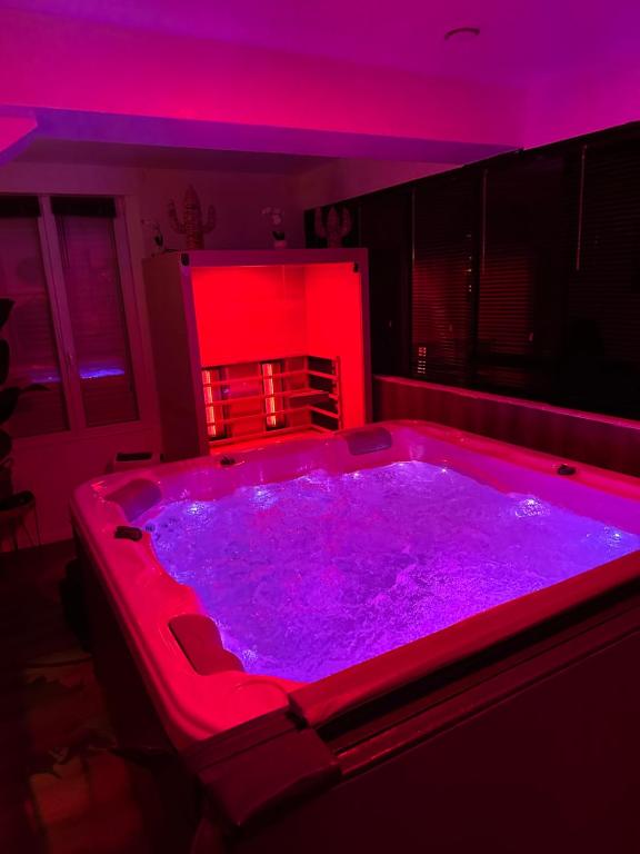 La Maison des Plaisirs Love room - Champigny-sur-Yonne19 de La Maison des Plaisirs Love room
