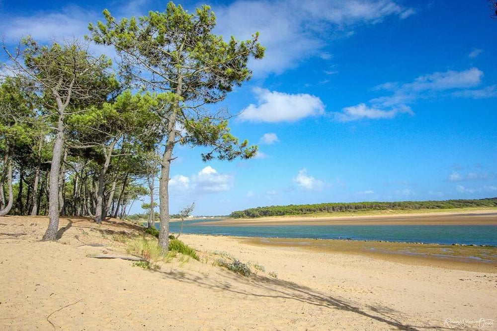 Love Room Passion - Talmont-Saint-Hilaire8 de Love Room Passion
