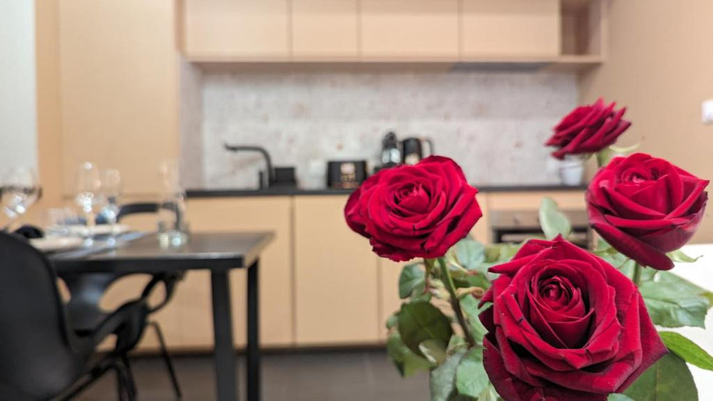 Mountain Love - Saint-Claude5 de Mountain Love
