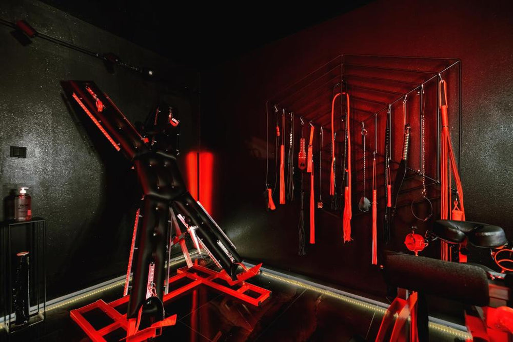 World Of Ecstasy - Apartament BDSM - Reda11 de World Of Ecstasy - Apartament BDSM
