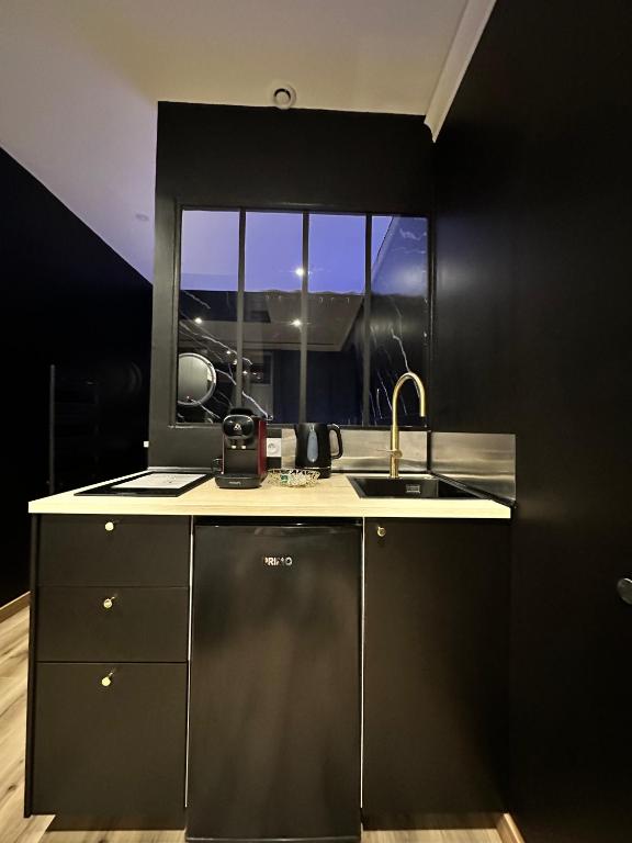 Dark Room BLOIS - Love Room - Saint-Gervais-la-Forêt9 de Dark Room BLOIS - Love Room
