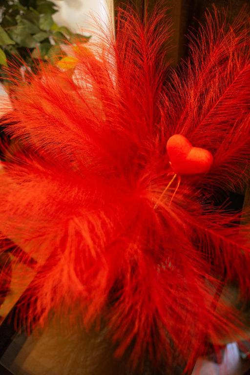 Love room Casa Amore - Prades28 de Love room Casa Amore
