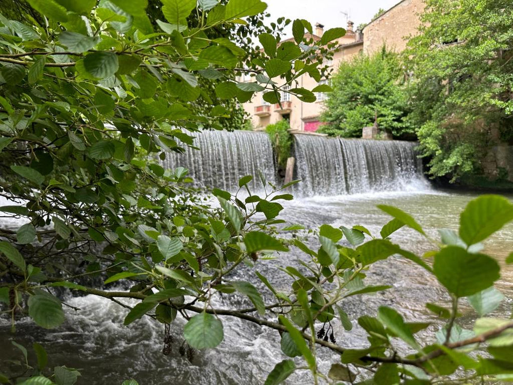 Eden de Roques - Castres31 de Eden de Roques
