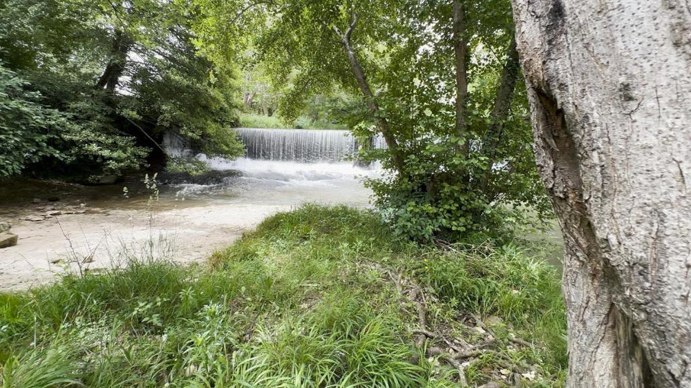Eden de Roques - Castres35 de Eden de Roques
