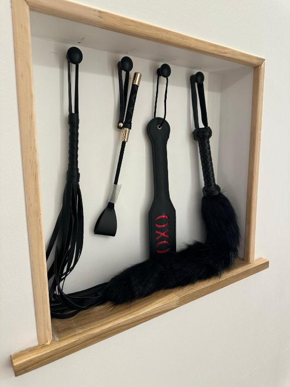 Eden de Roques - Castres41 de Eden de Roques
