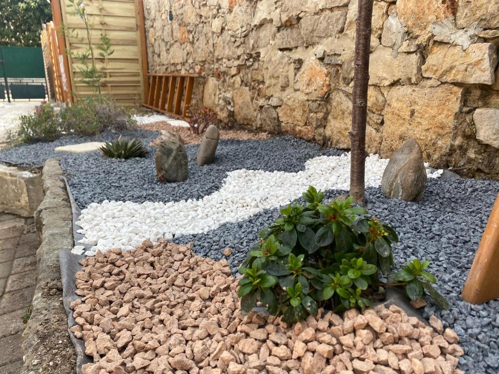 la love interdite chez love room Toulon - Toulon