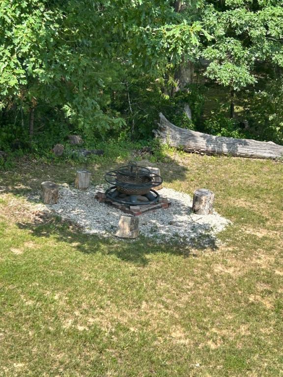 Erotic escapes - Big Woods5 de Erotic escapes
