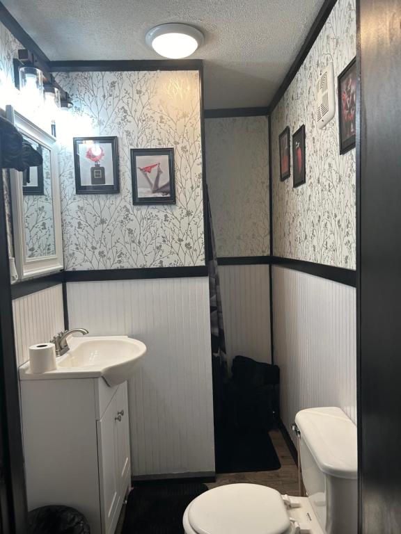 Erotic escapes - Big Woods23 de Erotic escapes
