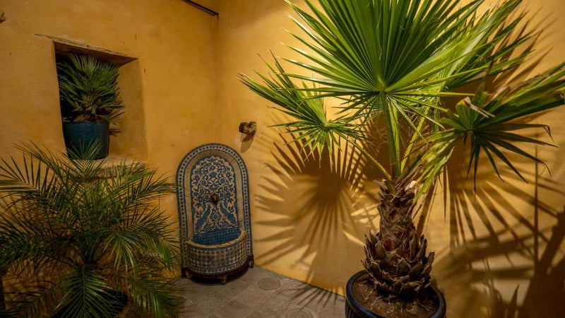 Chambre loriental - Nesmy3 de Chambre loriental
