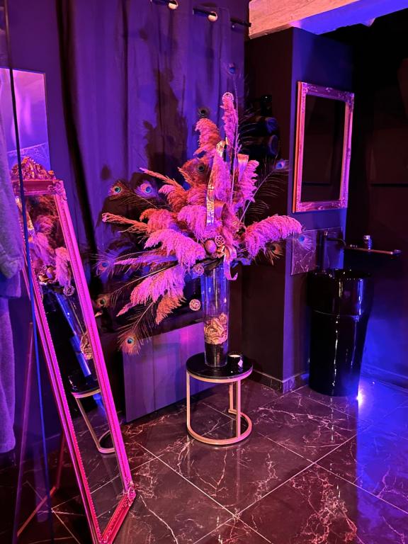 Loveroom de luxe - Thème 50 nuances de grey maison privative spa insolite - Douchy-les-Mines15 de Loveroom de luxe - Thème 50 nuances de grey maison privative spa insolite
