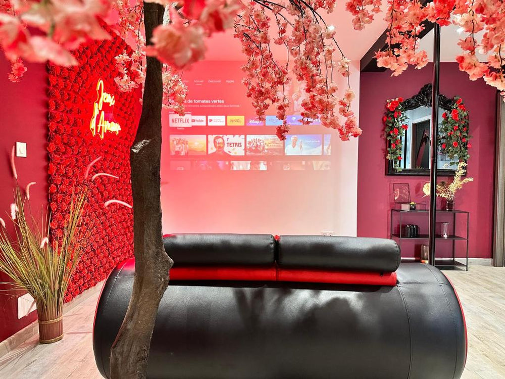 Suite Jeux d’Amour Jacuzzi / Love Room - Saint Die18 de Suite Jeux d’Amour Jacuzzi / Love Room
