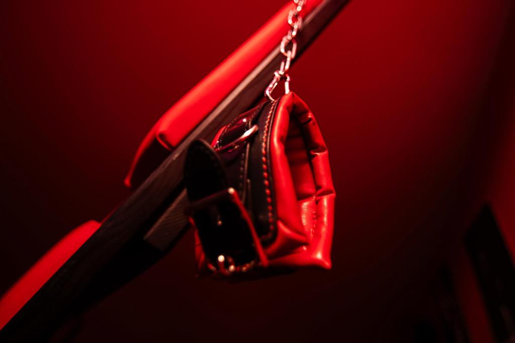 Red Palace Apartament BDSM - Bydgoszcz