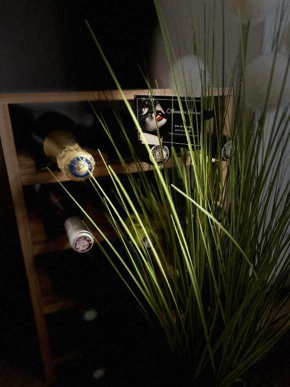 Loveroom Gîte de charme L'Amour en Brenne - Le Blanc5 de Loveroom Gîte de charme L'Amour en Brenne
