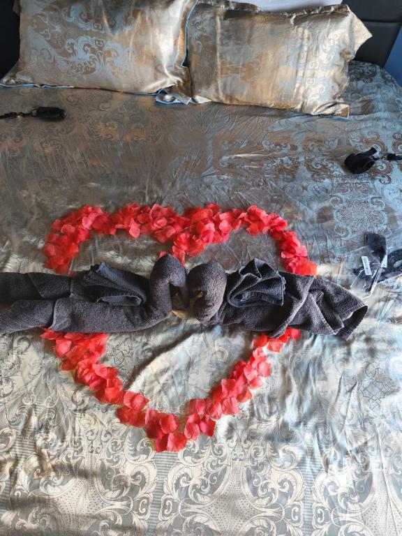 L'incognito - Romantisme - Vin - Jacuzzi - Saumur9 de L'incognito - Romantisme - Vin - Jacuzzi
