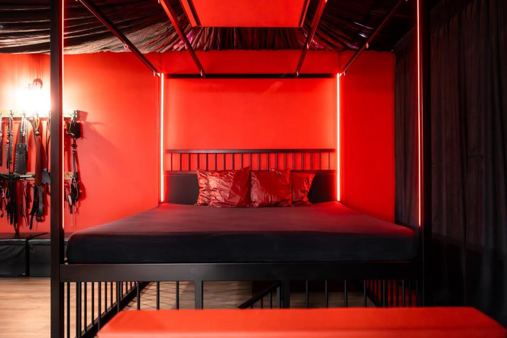 BDSM Red Apartments - Vilnius7 de BDSM Red Apartments
