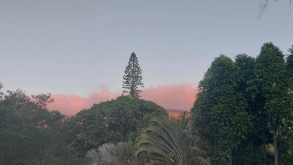 Love Room Les sens'même - Bouloupari15 de Love Room Les sens'même
