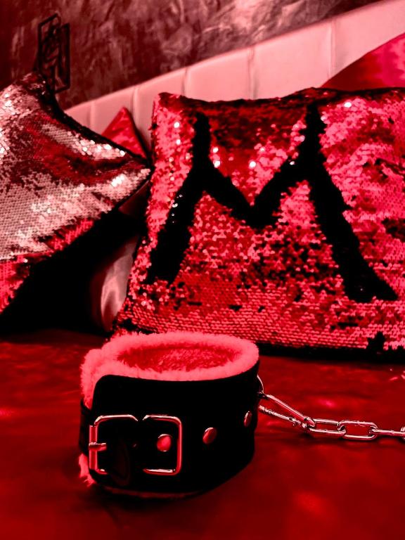 Maison de Monplaisir Love Room - Lyon - Villeurbanne8 de Maison de Monplaisir Love Room - Lyon
