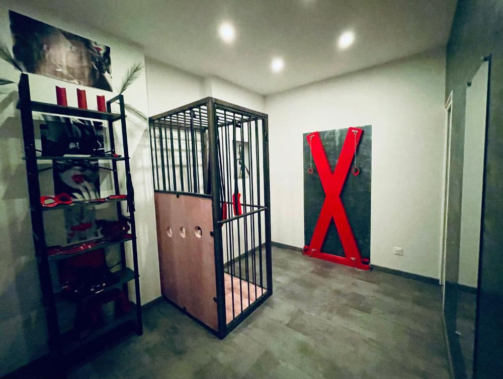 Maison de Monplaisir Love Room - Lyon - Villeurbanne3 de Maison de Monplaisir Love Room - Lyon
