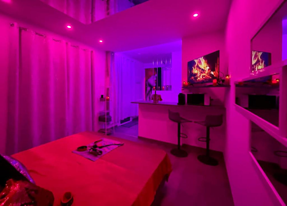 Maison de Monplaisir Love Room - Lyon - Villeurbanne13 de Maison de Monplaisir Love Room - Lyon
