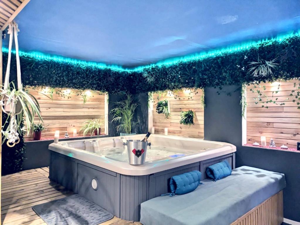 L'alcôve du 510 - Spa - chambre romantique - sauna - salle de jeux - Montauban