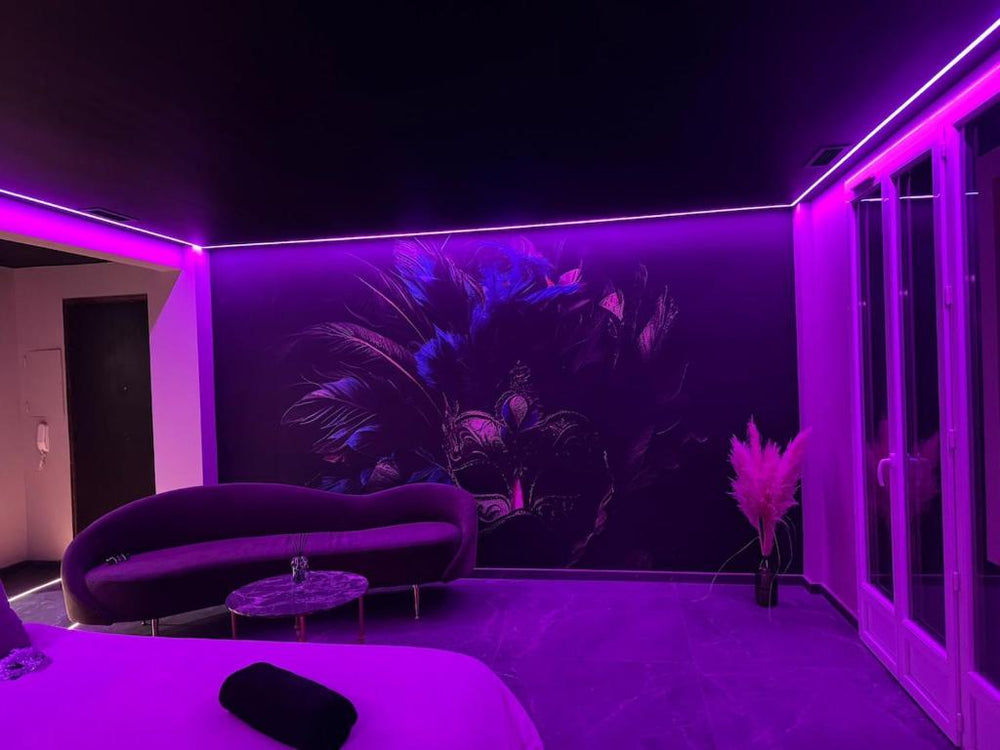 Mascarade suite and spa - La Seyne-sur-Mer20 de Mascarade suite and spa
