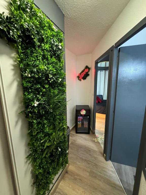 Love room - Cap d'Agde - Cap d'Agde6 de Love room - Cap d'Agde
