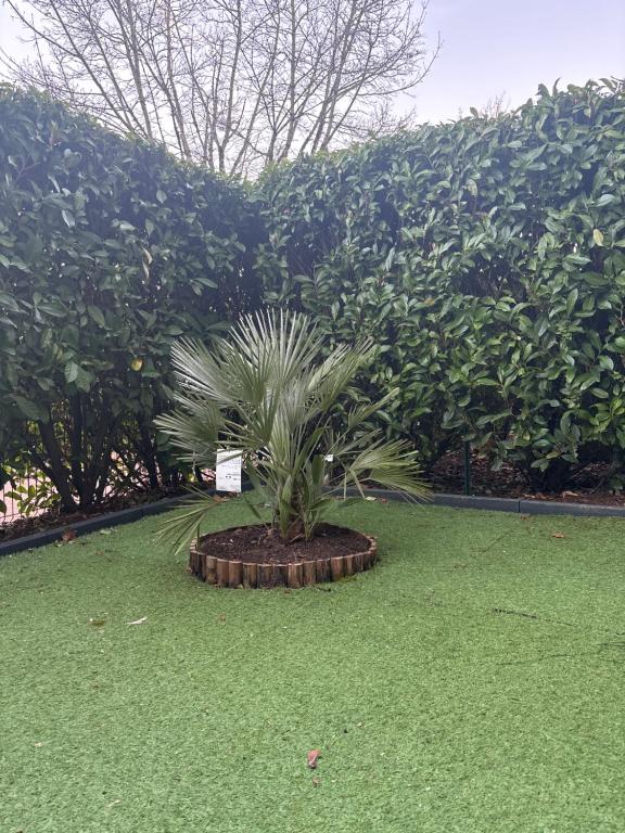 Romantisme et glamour avec spa ,jardin proche zénith - Dijon30 de Romantisme et glamour avec spa ,jardin proche zénith
