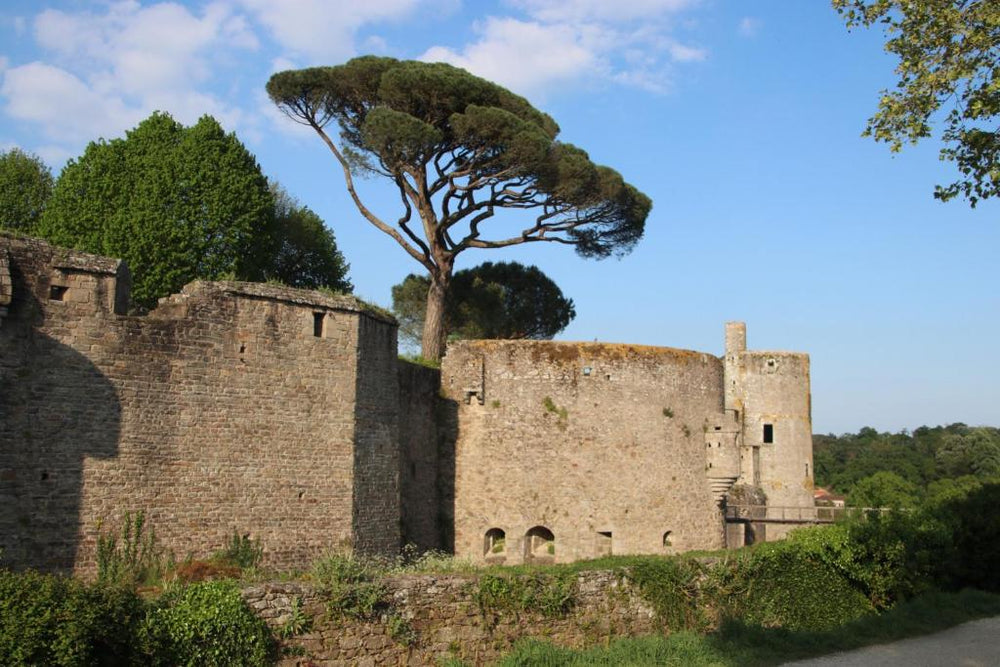 L'alcôve Clisson-Love room- Gîte Romantique-SPA - Clisson20 de L'alcôve Clisson-Love room- Gîte Romantique-SPA
