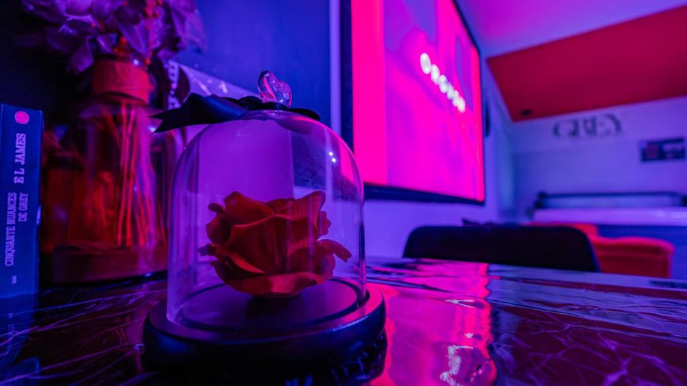 Loveroom Very Good Trip chambre avec jacuzzi privatif - Staple25 de Loveroom Very Good Trip chambre avec jacuzzi privatif
