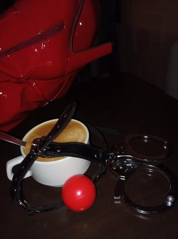 Le Donjon de la Garonne Suite BDSM - Pompignan15 de Le Donjon de la Garonne Suite BDSM
