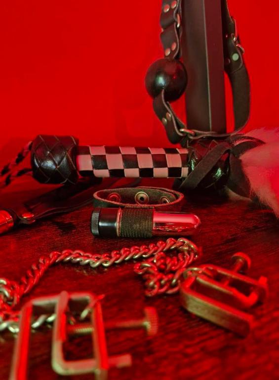 Le Donjon de la Garonne Suite BDSM - Pompignan28 de Le Donjon de la Garonne Suite BDSM
