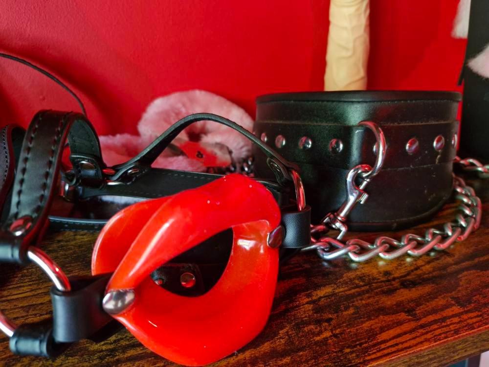 Le Donjon de la Garonne Suite BDSM - Pompignan16 de Le Donjon de la Garonne Suite BDSM
