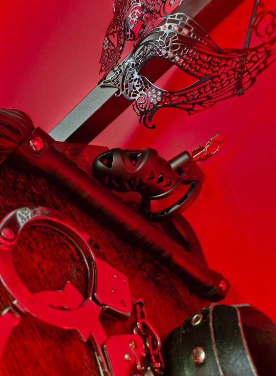 Le Donjon de la Garonne Suite BDSM - Pompignan17 de Le Donjon de la Garonne Suite BDSM
