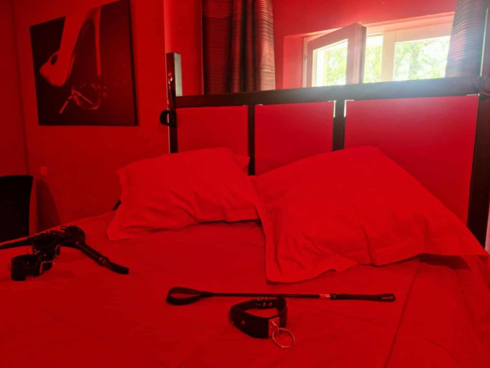 Le Donjon de la Garonne Suite BDSM - Pompignan22 de Le Donjon de la Garonne Suite BDSM
