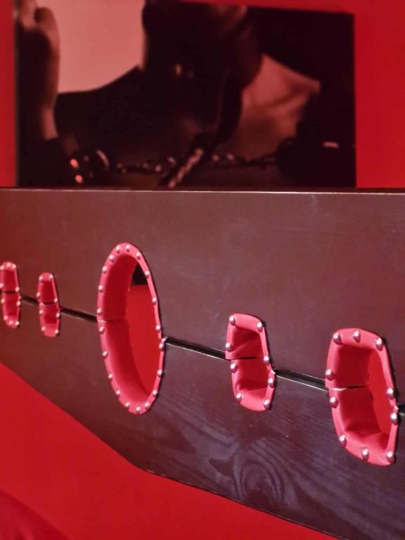 Le Donjon de la Garonne Suite BDSM - Pompignan24 de Le Donjon de la Garonne Suite BDSM
