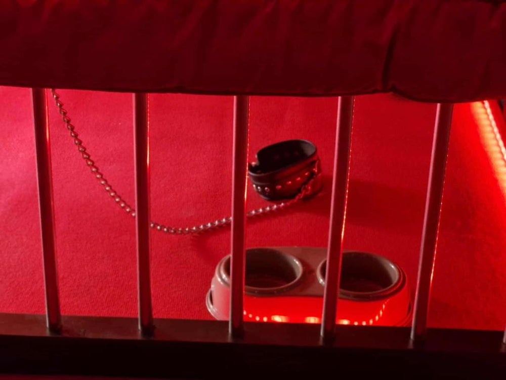 Le Donjon de la Garonne Suite BDSM - Pompignan21 de Le Donjon de la Garonne Suite BDSM
