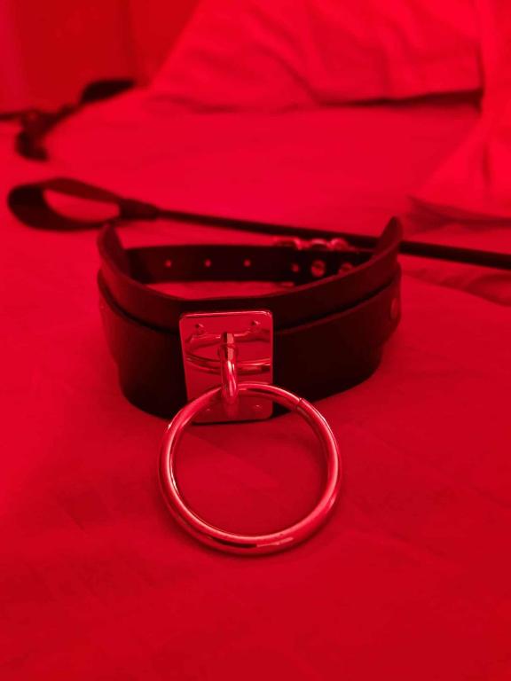 Le Donjon de la Garonne Suite BDSM - Pompignan35 de Le Donjon de la Garonne Suite BDSM
